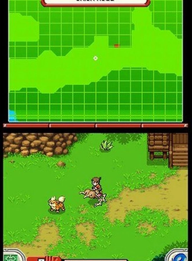 Pokémon Conquest | Nintendo DS