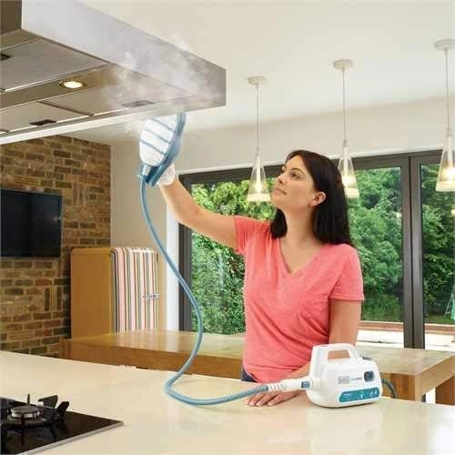 SteaMitt Handheld Steam Cleaner - 0.1 liters