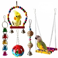 Pet Bird Supplies