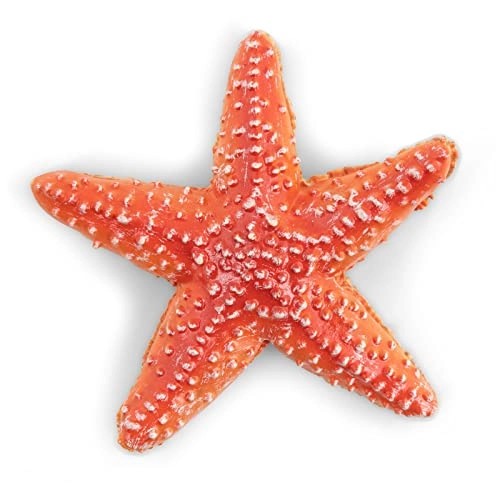 Starfish - 3 years and up 1 pieces