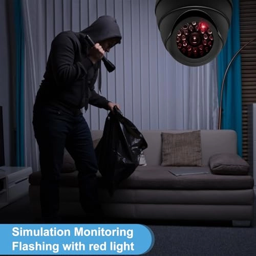 Dummy Camera - Indoor Pack