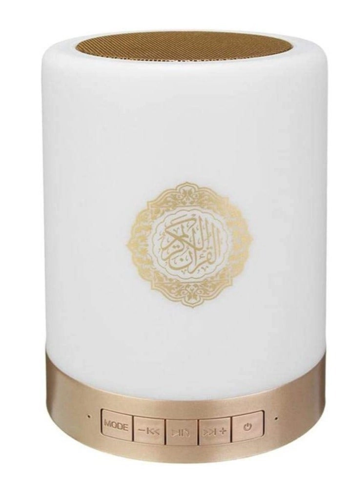 Wireless Bluetooth Portable Speaker