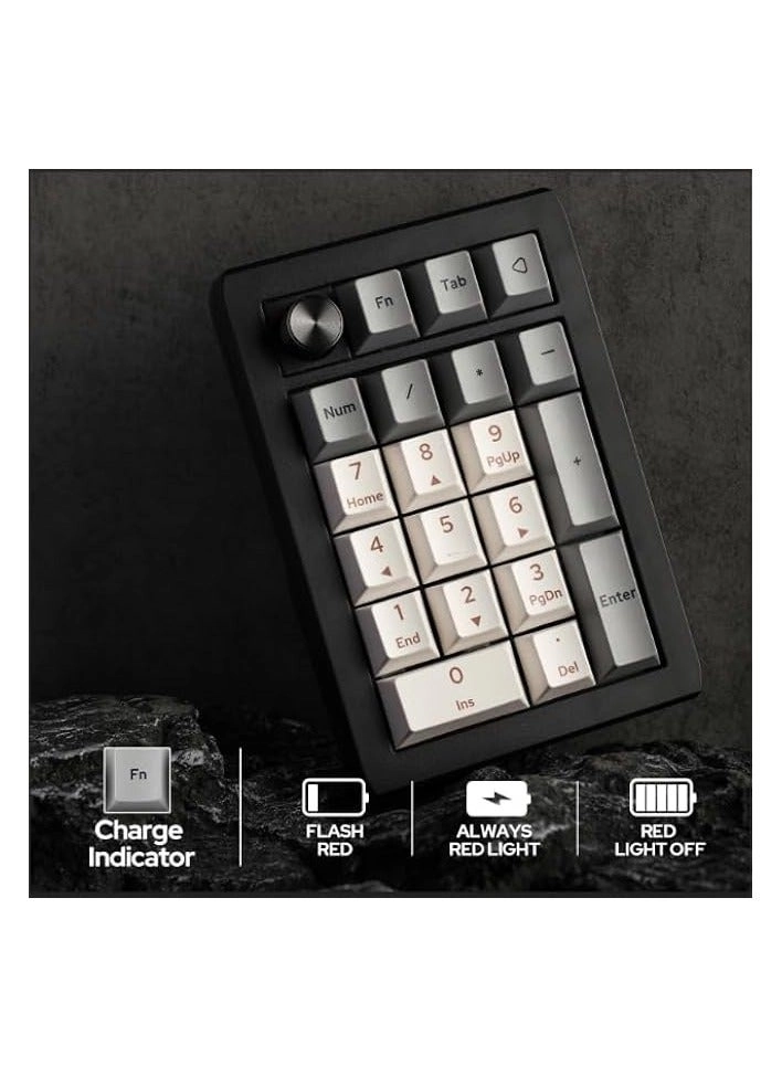 EK21 - Wisteria Linear Switch