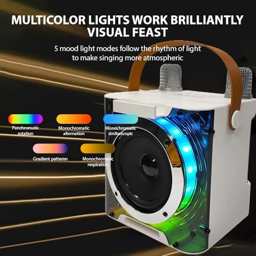 Karaoke Machine - 2 15W