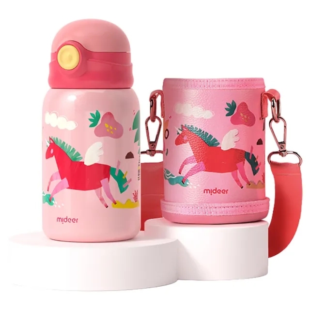 Vacuum Insulated Bottle - 450 ml