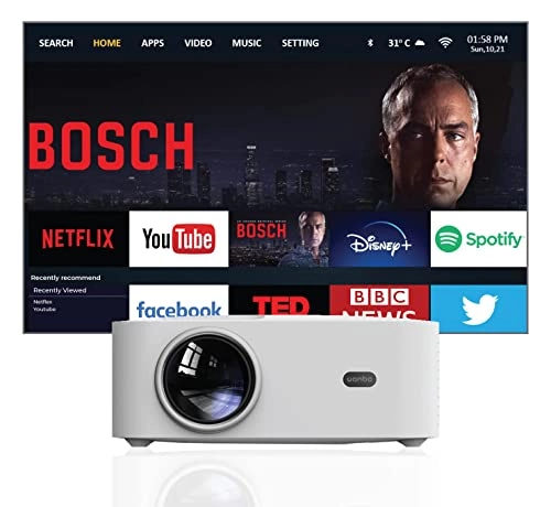 X1 Pro 350 ANSI lumens