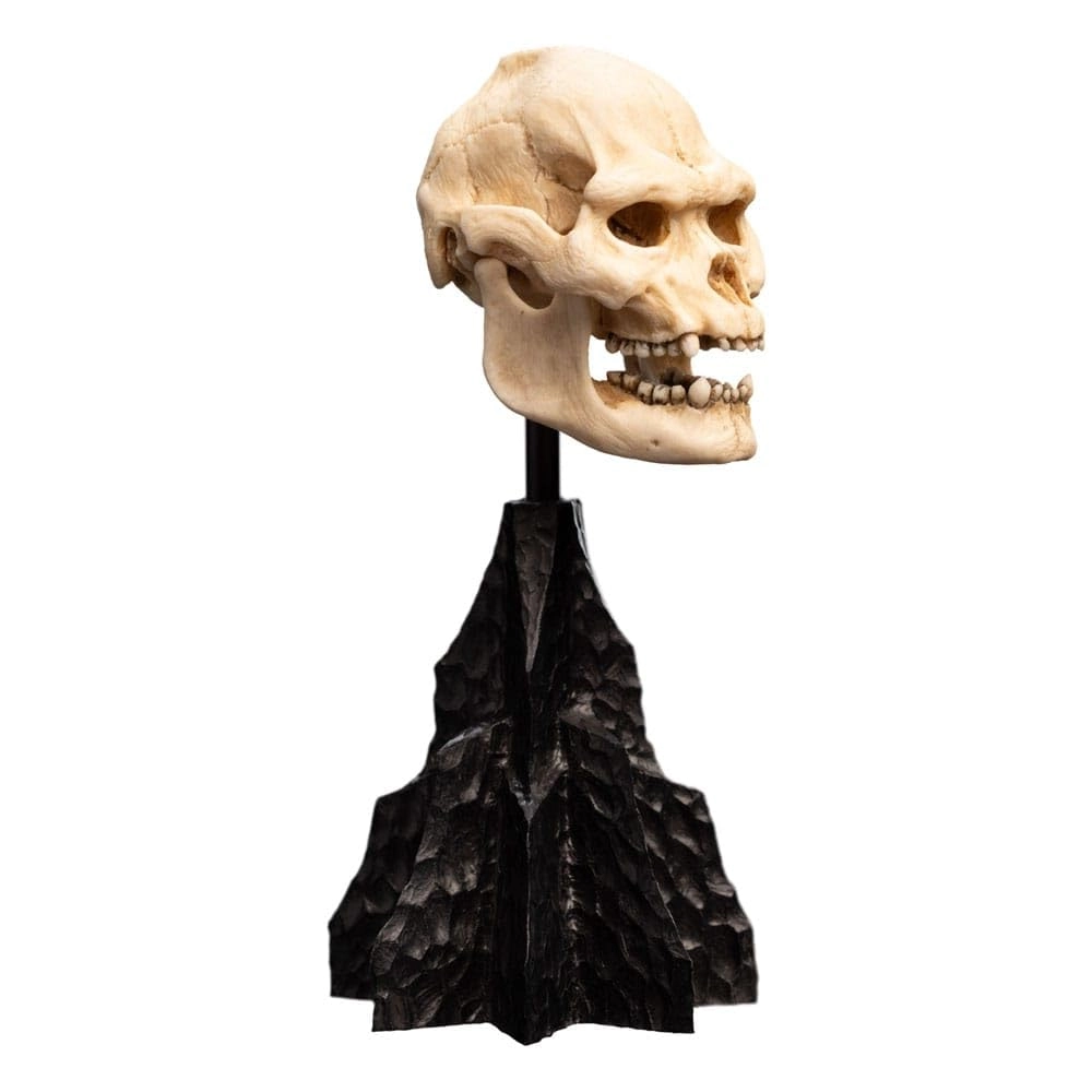 Skull of Lurtz - The Lord of The Rings (14.5 cm)