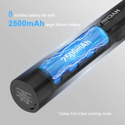 sonic electric toothbrush - 240 Days Battery Life 8 Replacement Heads