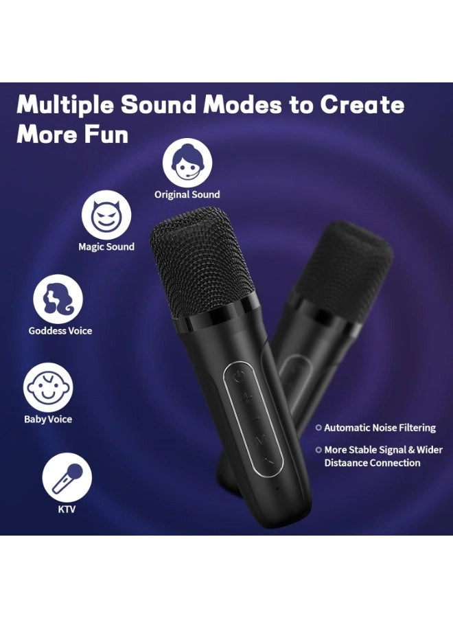 Karaoke machine - 2 wireless microphone