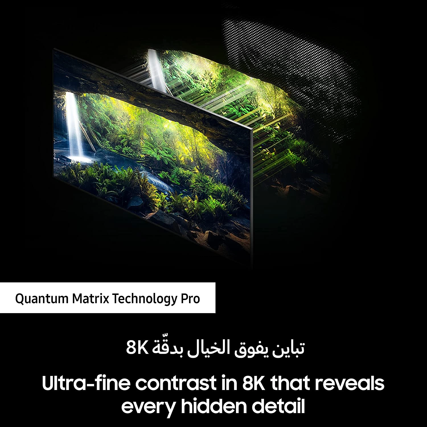 QA65QN800BUXZN - 65 inch