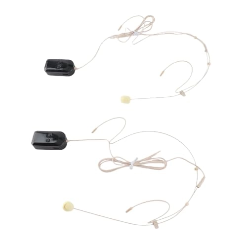 n1ukbordfh - 2 microphones 2.4G