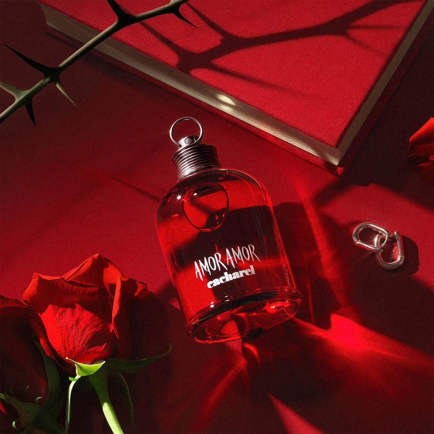 Amor Amor Eau de Toilette 50ml