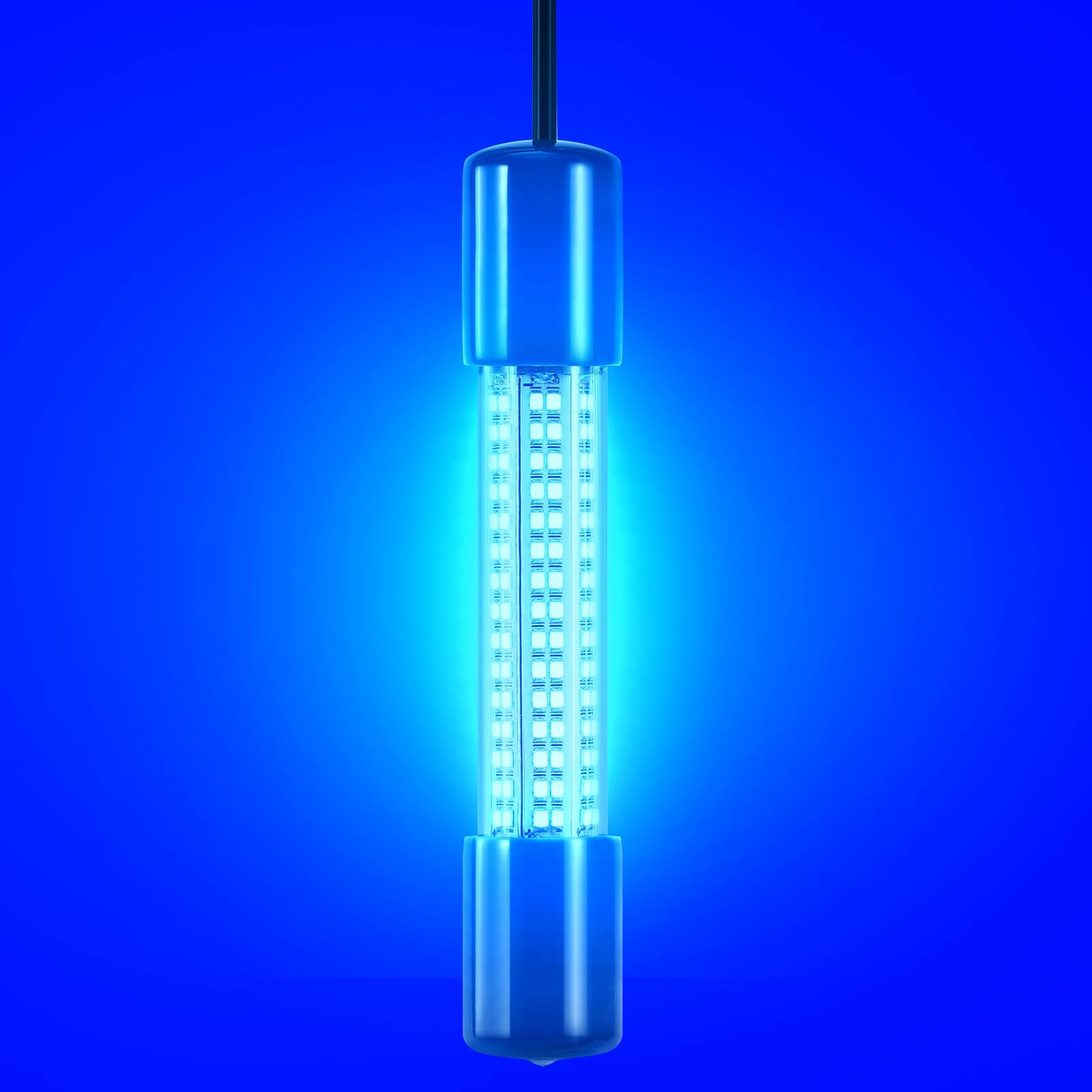 BOMARTE WISDOM Underwater Fishing Light - 16.4ft (5m) Bundle