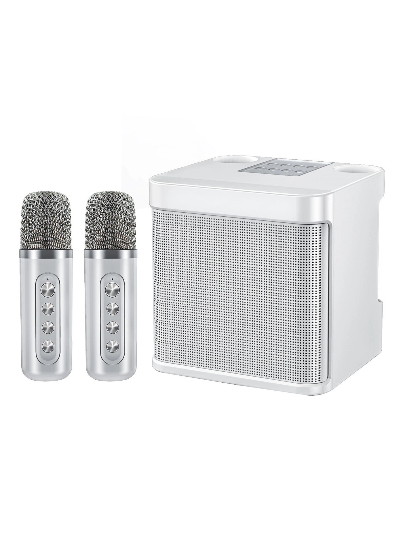 Dual Microphone Sound Package Wireless Microphone