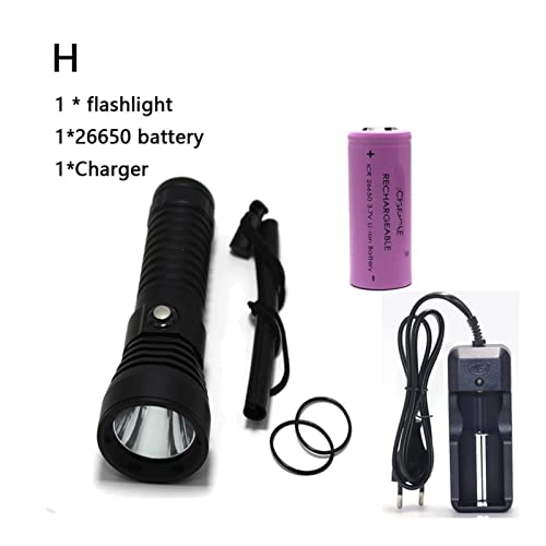 Professional Submersible Light