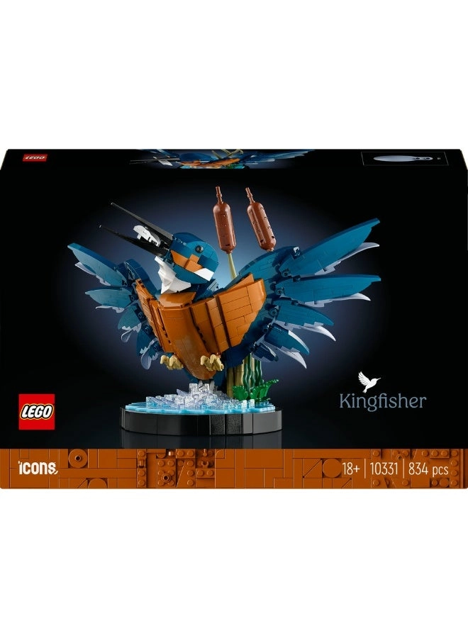 Icons Kingfisher Bird (10331)