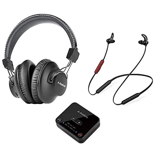 D4169 Wireless Headphone