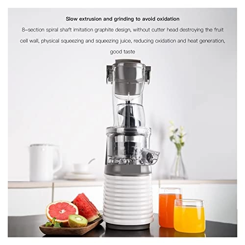 Portable Electric Juicer - Masticating Slow Auger Water-Free