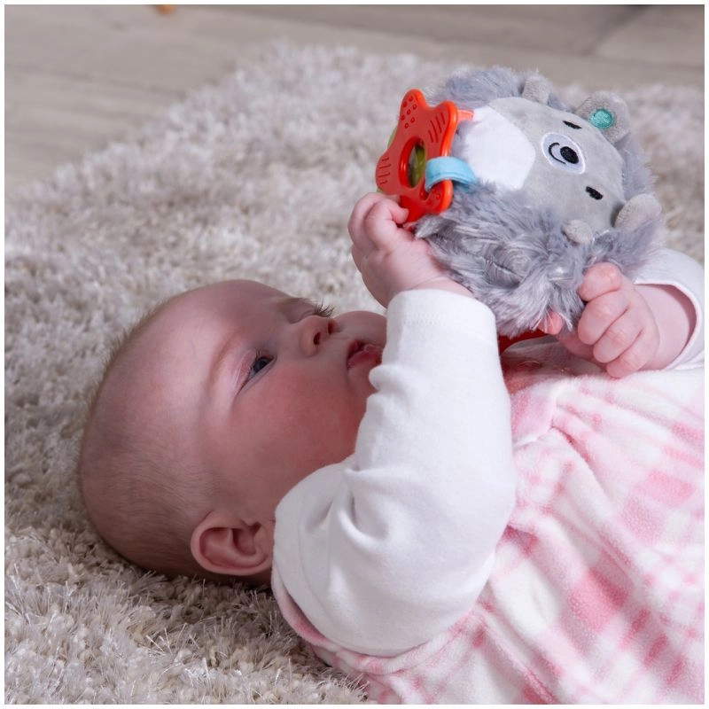 Harry Hedgehog - Clip On Multi Colour