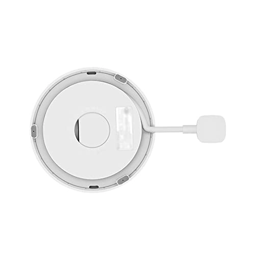 Household Stainless Steel Electric Kettle