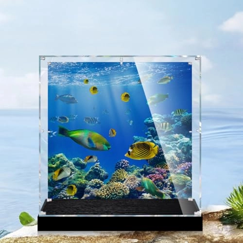 Figures Display Box - 35x25x20cm acrylic Dustproof Transparent