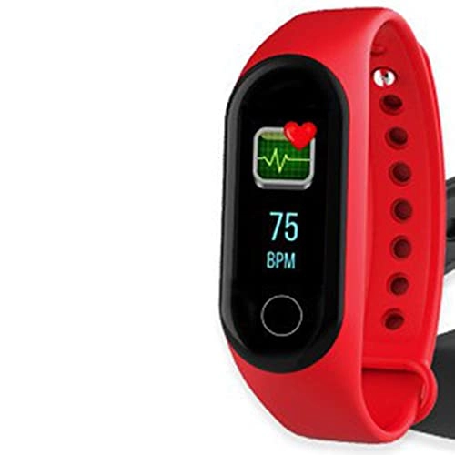 M4 - 90mAh RGB 240*240 IP67