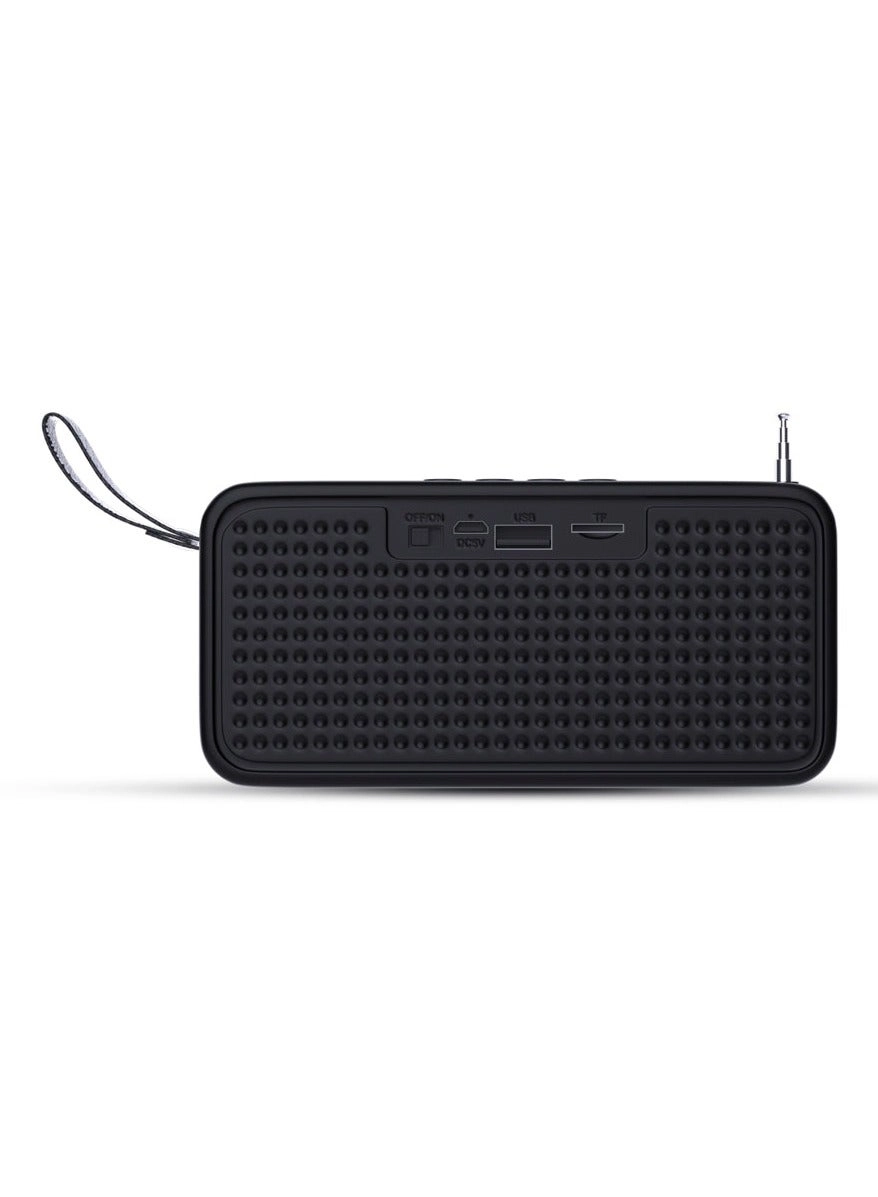 Pro 3 - Bluetooth FM Radio