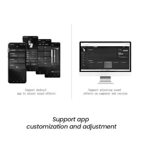 TP35 Pro - Mini Portable USB-C 3.5/4.4mm