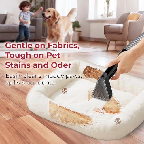 RHFC-25003 - Spot Cleaner 600W