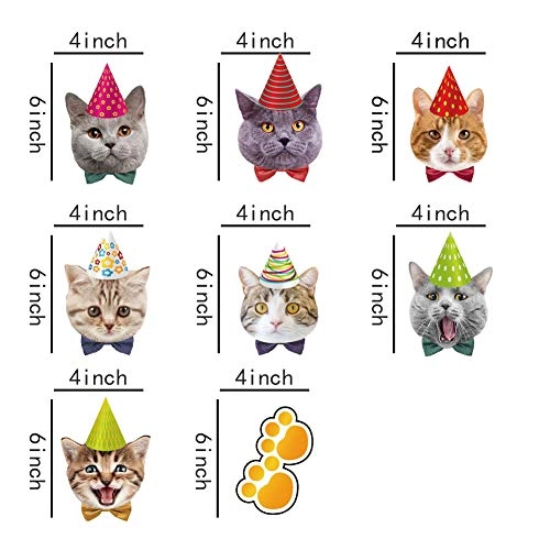 Cat Hanging Swirl Decorations - 30 piece(s) Birthday