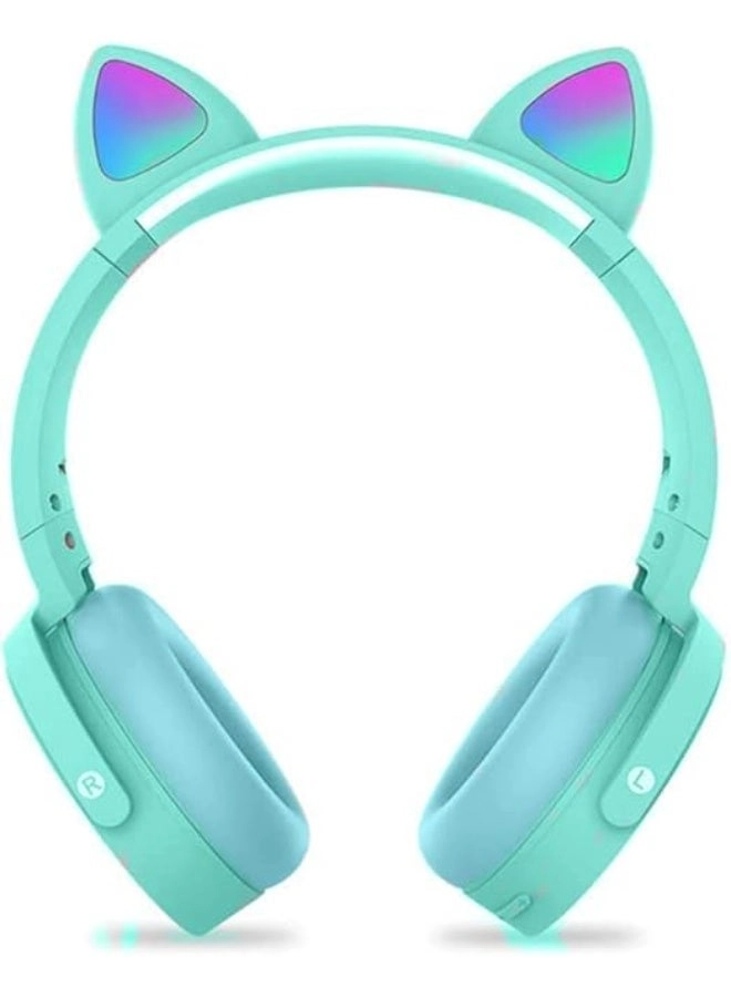 PD-4668 Wireless Headphone