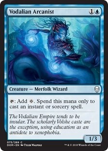 Wizards of the Coast Vodalian Arcanist