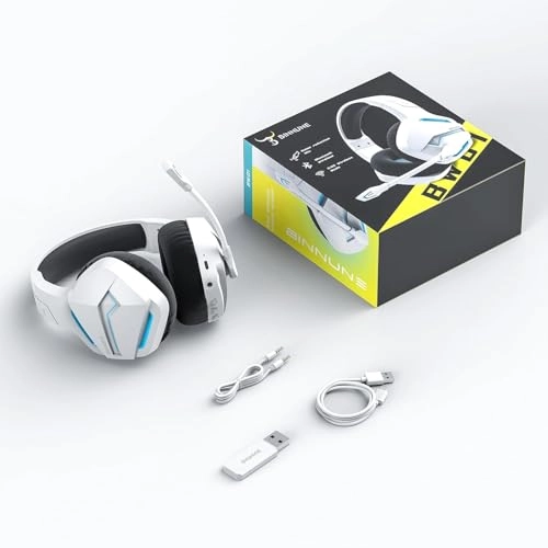 BW01-BT Wireless Headset