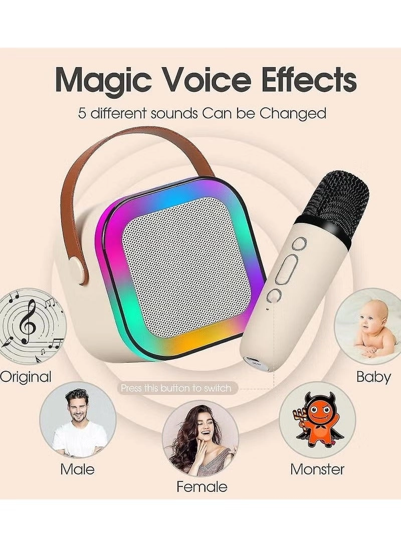 K12 - 2 Wireless Microphones