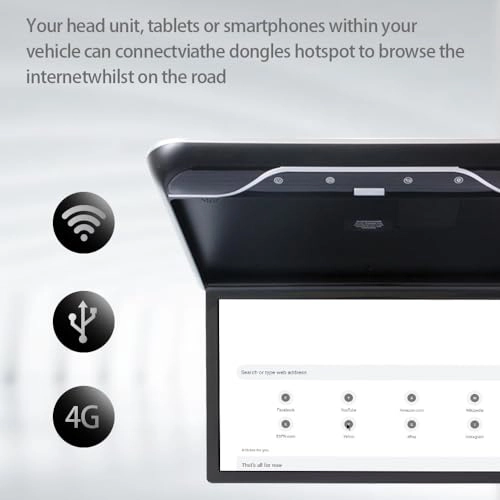 Car ceiling display - 19-Inch