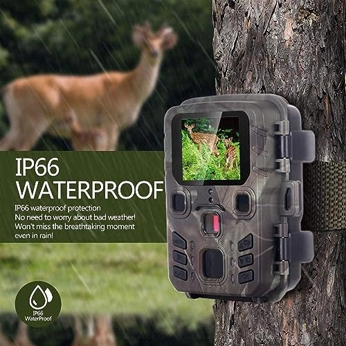 Wildlife Hunting Camera - 5MP