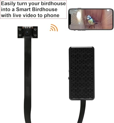 Bird Box Camera 2K