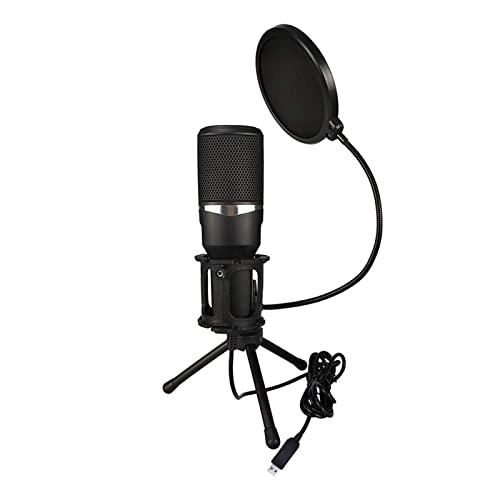 ss1/i47612 USB+3.5mm-Mini-Jack Microphone