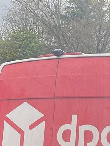 Dual Motorhome Reversing and Rearview Camera - Night vision Phono cabling 720p