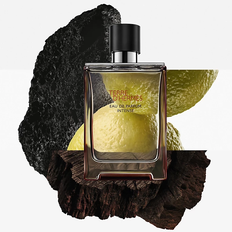 Terre - Eau de Parfum 100 ml