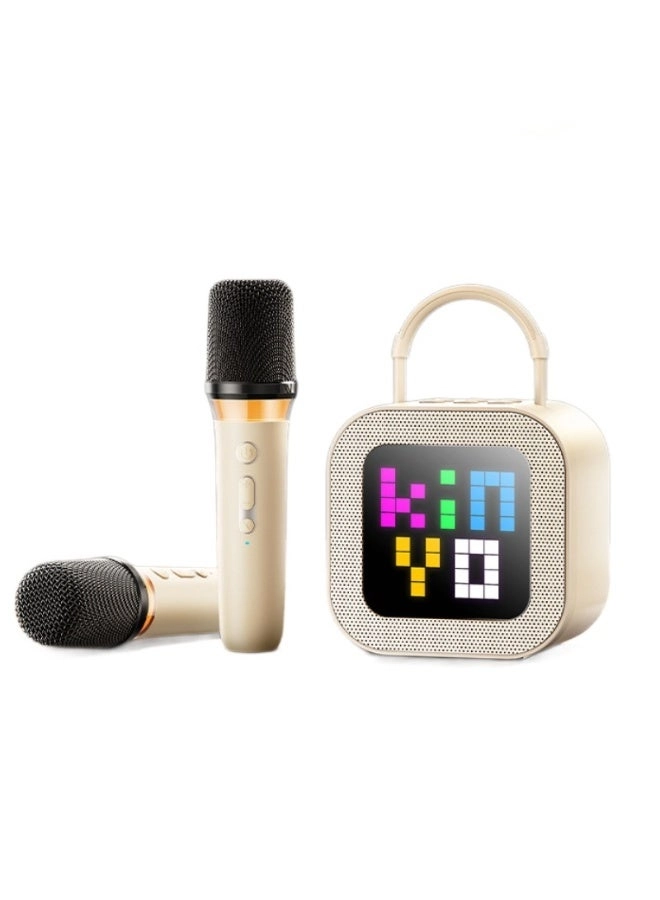 LED Bluetooth Karaoke Speaker - Dual Microphones