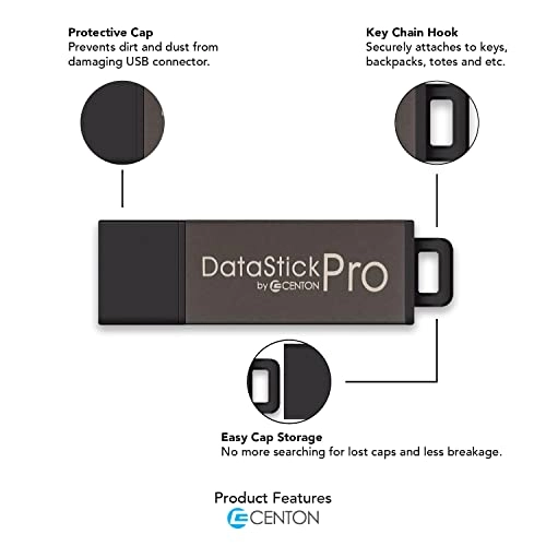 DataStick Pro - USB 2.0 2GB