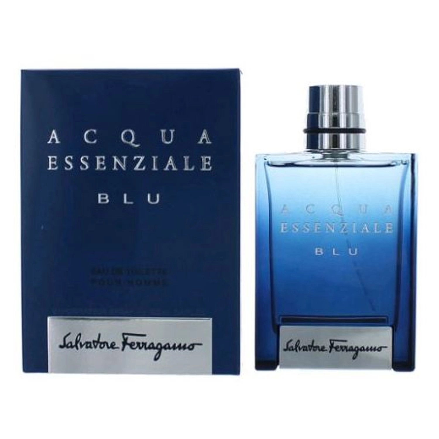 Ferragamo Acque Essenziale Blu H Eau de Toilette 100ml