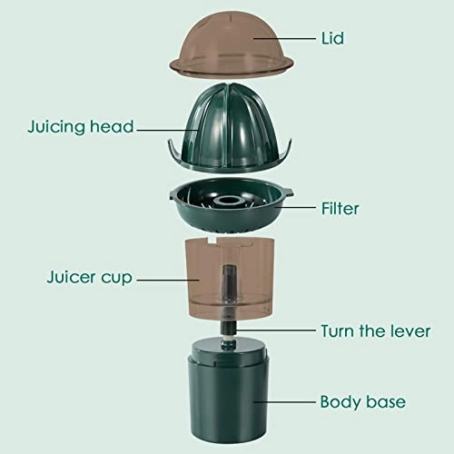 Electric Juicer - 20W 250 Milliliters