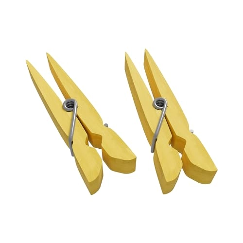 Team Quiz Challenge: Nature vs. Technology