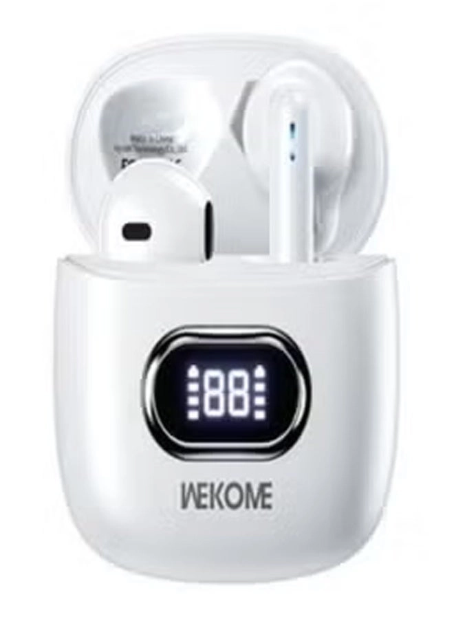 WS-01 Wireless Earbud