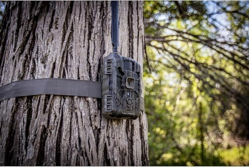 Deceptor - 40MP + FieldMax Lithium Rechargeable Battery Cartridge