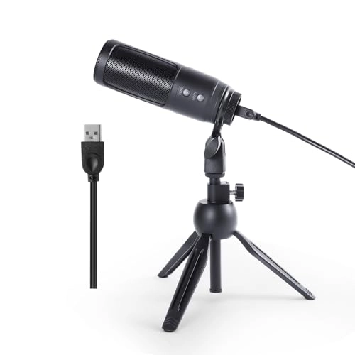 K2S Wired Microphone
