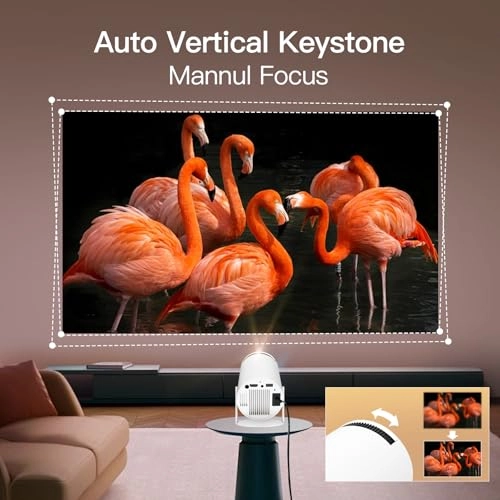 HY300 PRO 1920 x 1080