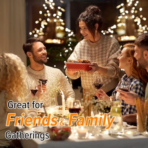 PIC Double - Induction hob